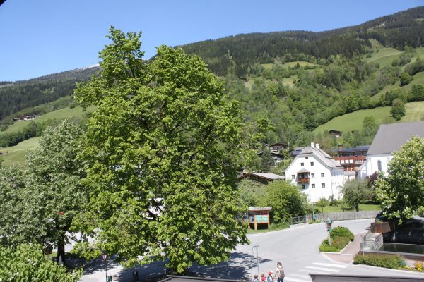 Aussicht (1)