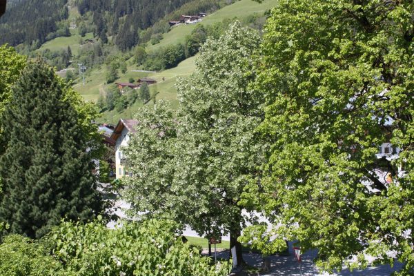 Aussicht (7)