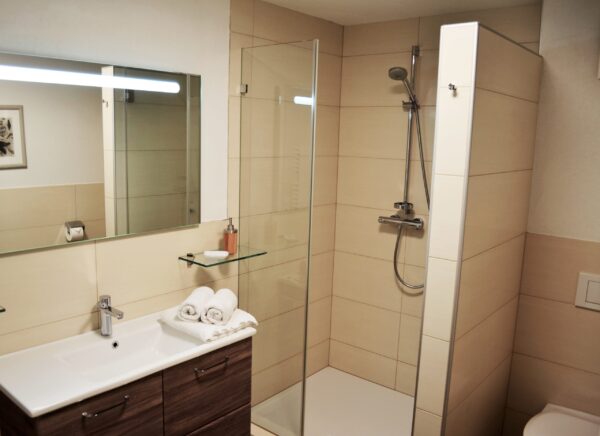 Haus Hofer - Badezimmer der Ferienwohnung in Bramberg am Wildkogel