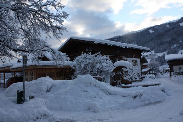 Winter2014 (3)